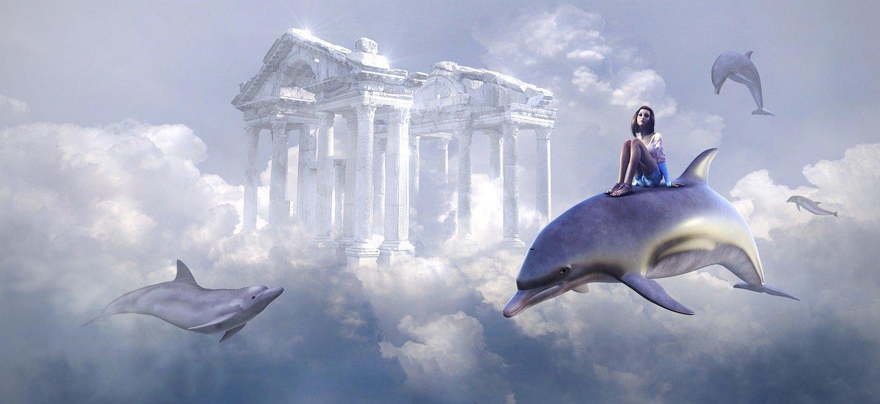 DOLPHINS-4853146_1280-low