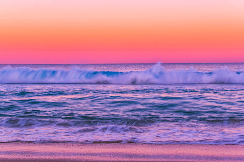 purplesea-800